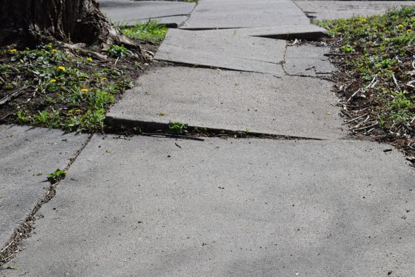 Cost of Trip Hazard Removal in Englewood
